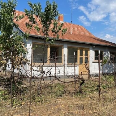 Einfamilienhaus in Tiszaszentimre