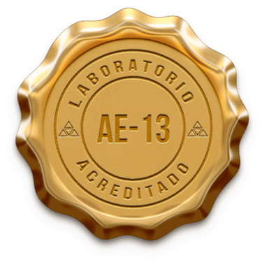 ACREDITACION AE-13