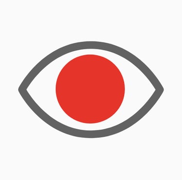 a grey and white eyeball with a red dot on it signifying point of view