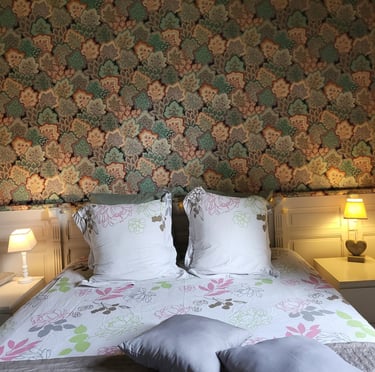 Hebergement a Chinon chateaux de la Loire, Loire Valley