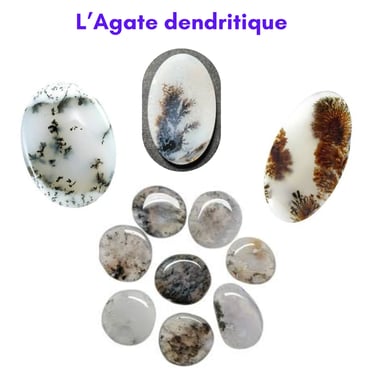 Les pierres naturelles Agate dendritique Les Couleurs de Lo