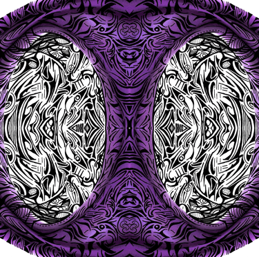 a circular shaped abstract design with a stylized design