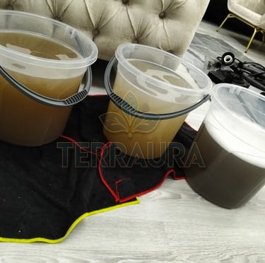 terraura koltuk yıkama antalya