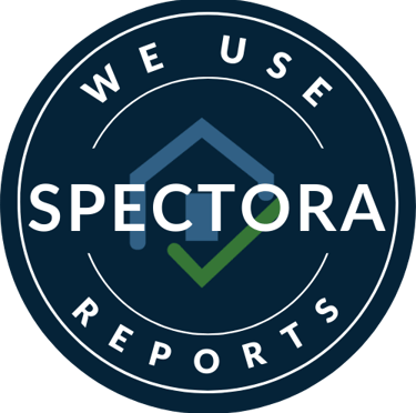 Check out what Spectora is and how it works!