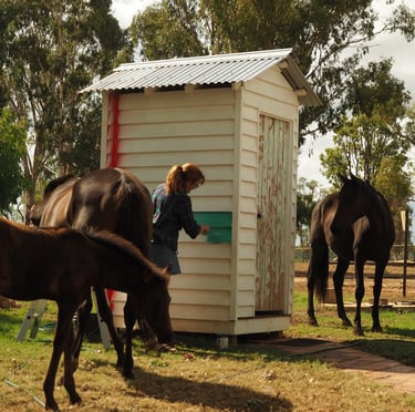 artist painting an outhouse dunny