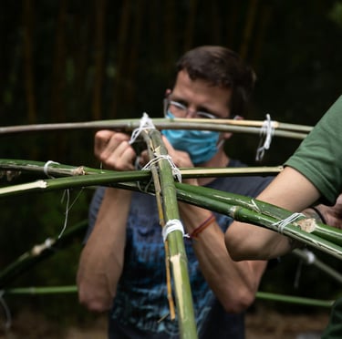 alianzas sostenibilidad huella carbono