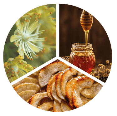 Bouche Pineau Blanc (Roue des arômes)