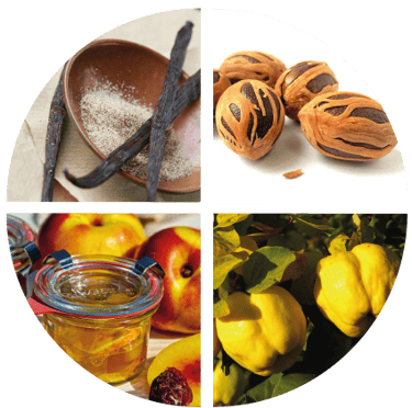 Nez Pineau Blanc (Roue des arômes)