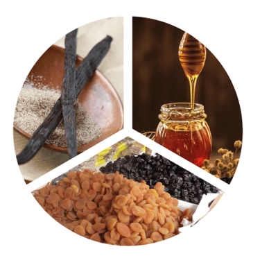 Nez Pineau XO (Roue des arômes) 