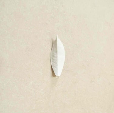 Sylvain Chauveau - The Complexity Of The Simple