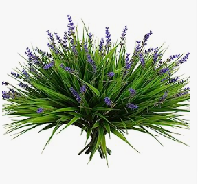 a bunch of flowers that are on a white background