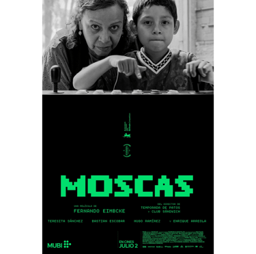 Portada de la película Moscas.