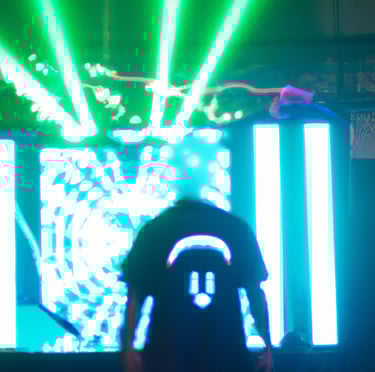 Whatever It Is, I Like It - Branca.dj