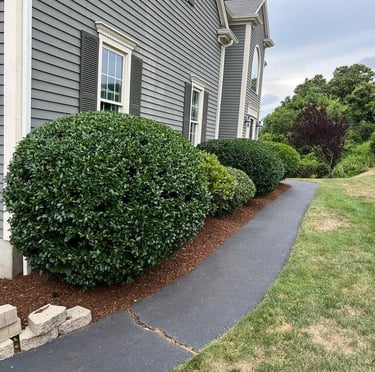 Pruning and Mulching