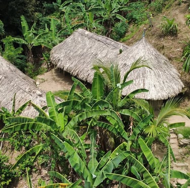 Kogui indigenous houses