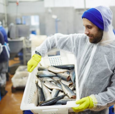 A man in a white coat presents a tray filled with fresh fish, ready for processing in a processing facility.