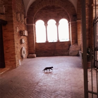 Loreto Aprutino La Città dell'Olio