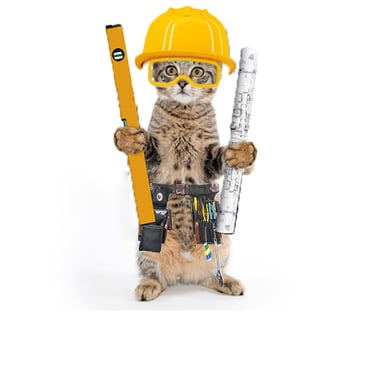 Builder Cat Limited Logo