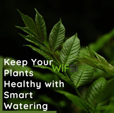 auto watering device