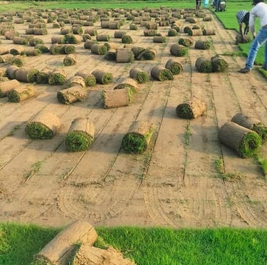 landscaping services Andhra Pradesh