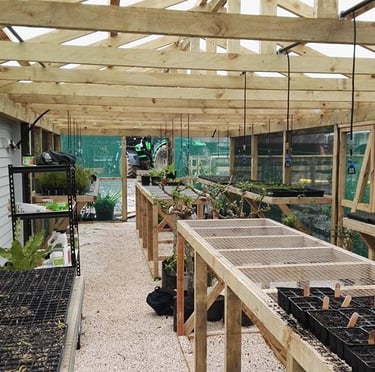 Green house construction