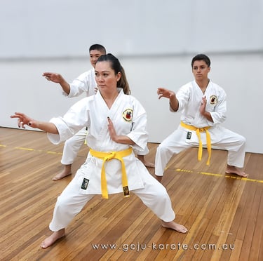 Kenyukan Goju Ryu Karate