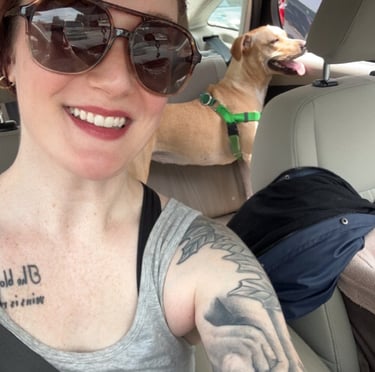 dog being transported to dog park