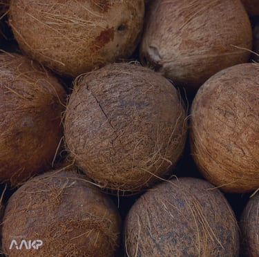 PT AAKP ANEKA USAHA RAYA