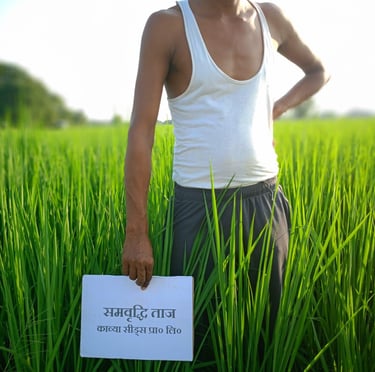 Indian farmer standing in a green rice field holding a Samridhi Taj seeds sign.