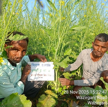 Two farmers holding a seed variety sign in a blooming mustard field in Wazirganj, Uttar Pradesh.