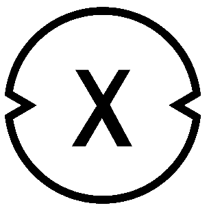 XinFin