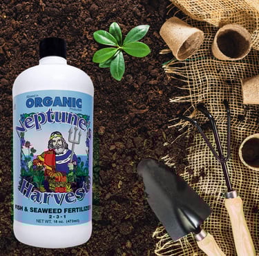 Fish & Seaweed Blend Fertilizer