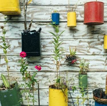 Cans being repurposed as planters