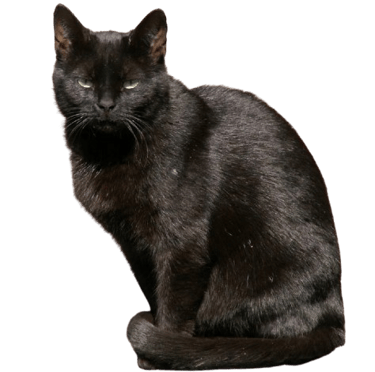 Samson sneering sarcastically.