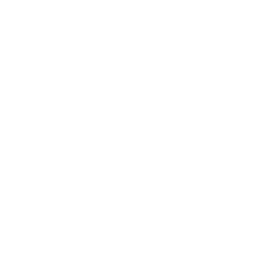 icona brand identity