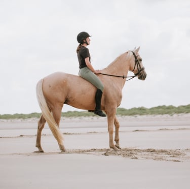 couple cavalier cheval plage