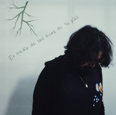 Portada "En medio de los ecos de tu piel"