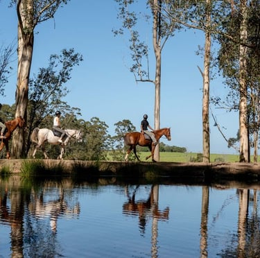 people horse riding on a detox retreat