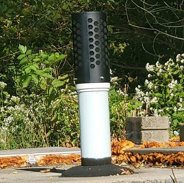 Canistra retinere mirosuri ministatie epurare