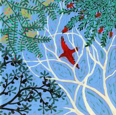 a painting of a bird flying over a wattle, bottlebrush, gum and banksia tree