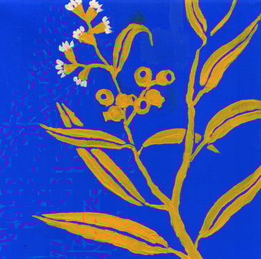 a gumnut flower with a blue background