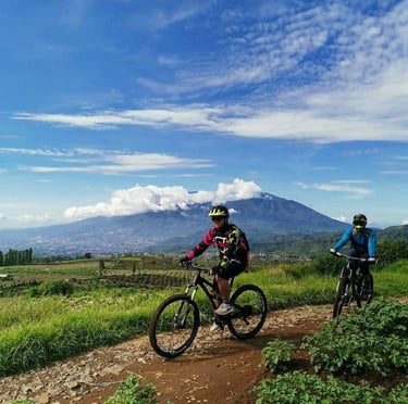 Cycling tour