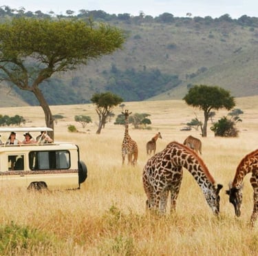 Nikmati liburan ke Africa bersama Leisure Prime