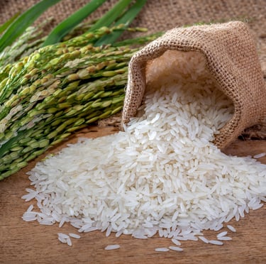 Rice - WEARE OCEAN EXPORT