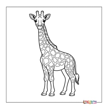 Giraffe eating leaves coloring template wildlife printable