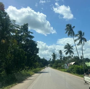 Scenic road leading to a Zanzibar village, offering tourists a picturesque journey through lush landscapes