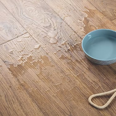 SPC Flooring Goals Floors