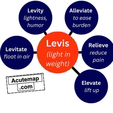 Levis root word chart, Vocabuolary for SSC UPSC