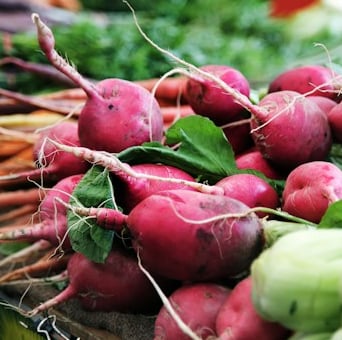 multiple beets and radishes around other vegetables