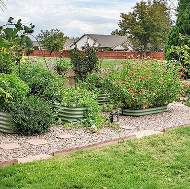 multiple plants in garden beds with good drainage